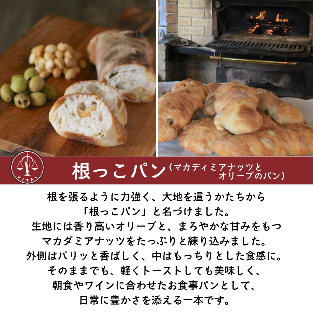 根っこパン