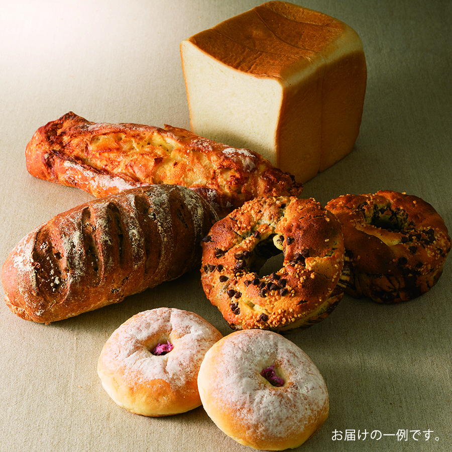 Bファミリーセットイメージ