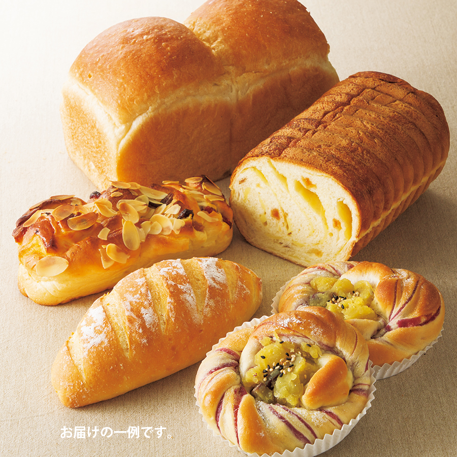 Bファミリーセットイメージ