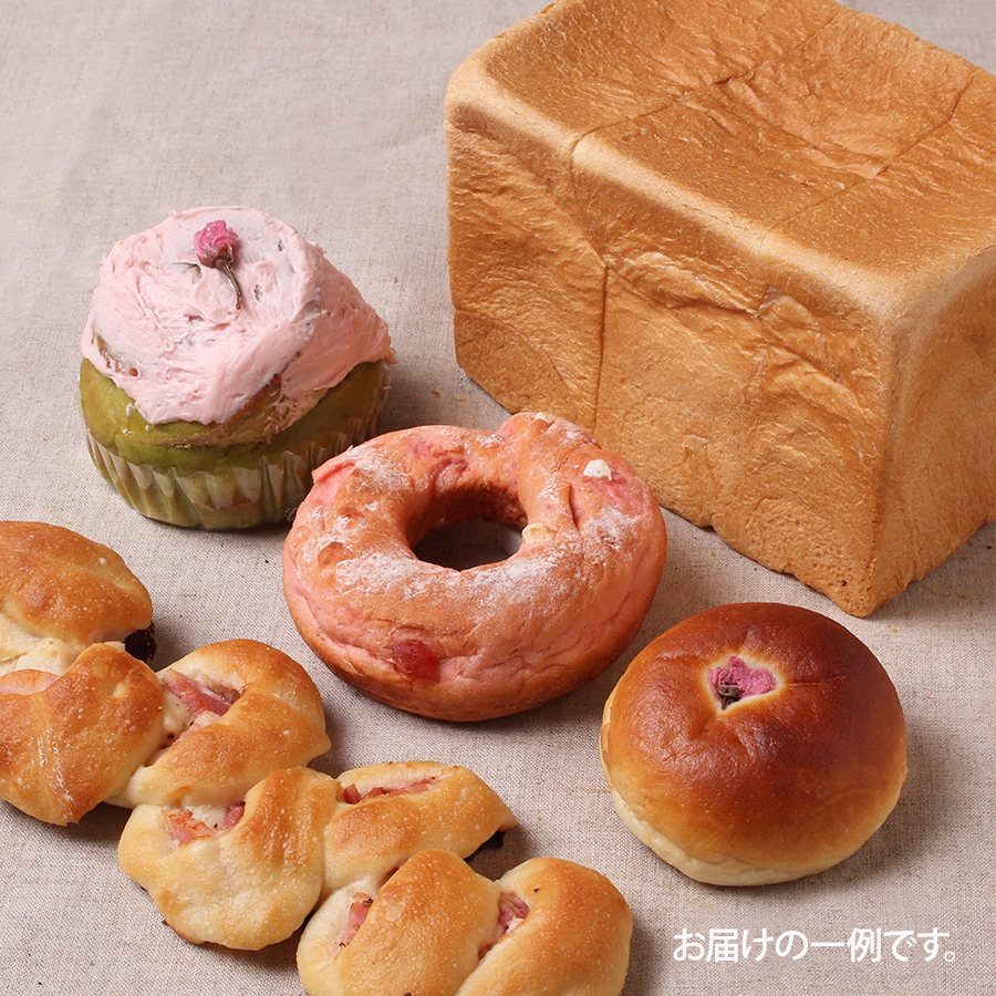 Bファミリーセットイメージ