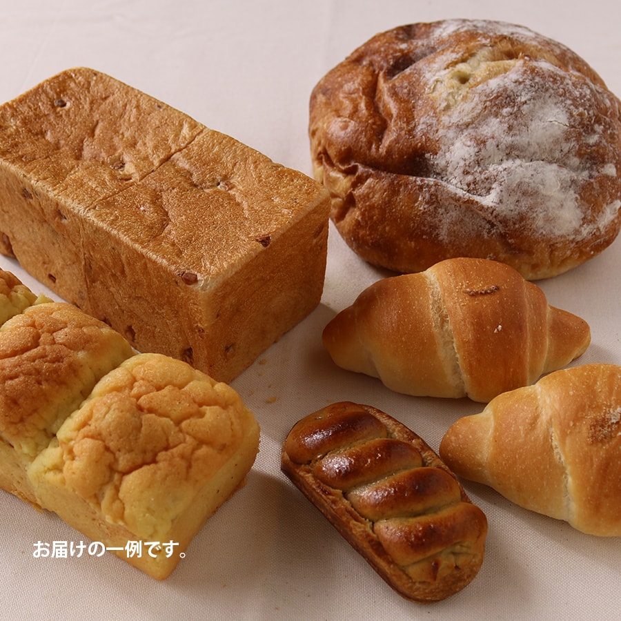 Bファミリーセットイメージ